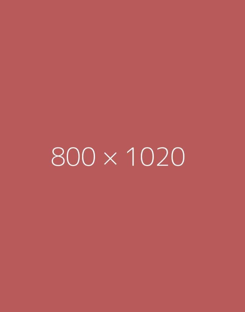 hongo-800x1020-e-ph