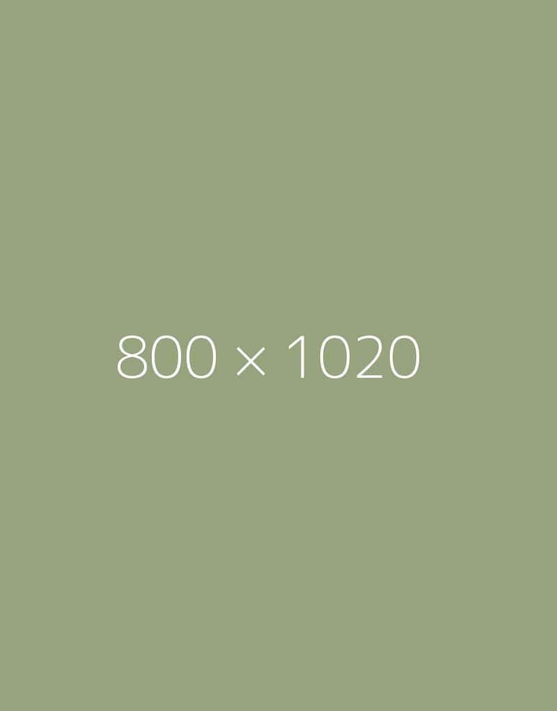 hongo 800x1020-b-ph