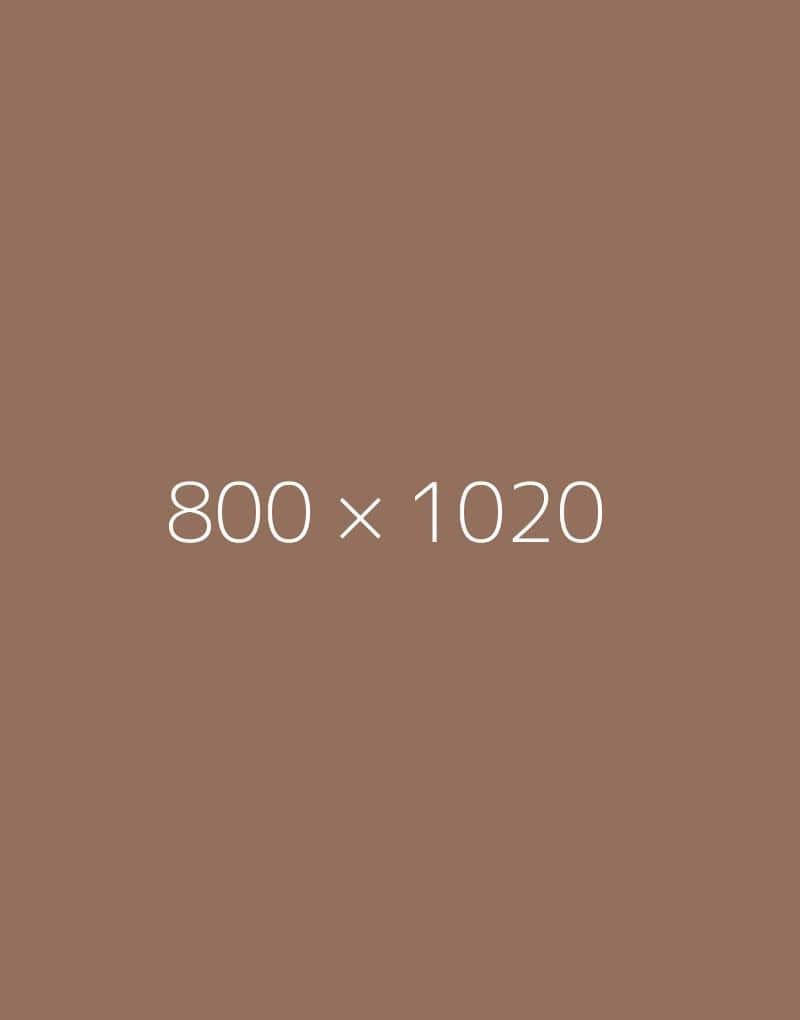 hongo 800x1020-c-ph